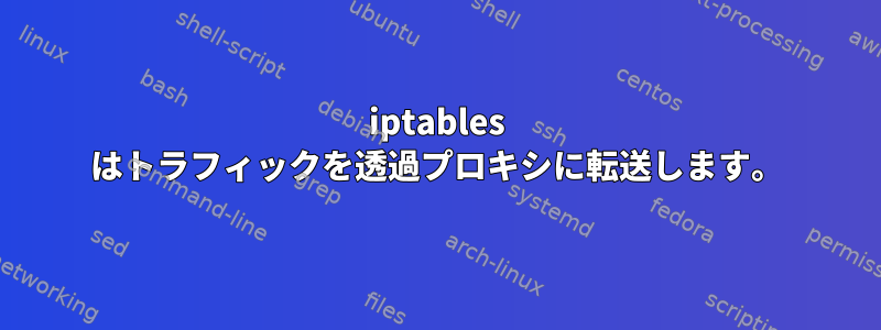 iptables はトラフィックを透過プロキシに転送します。