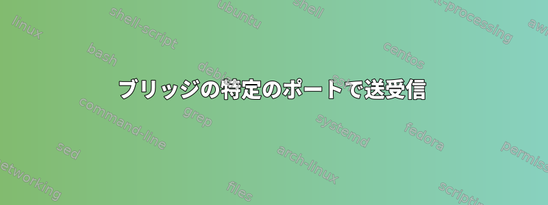 ブリッジの特定のポートで送受信