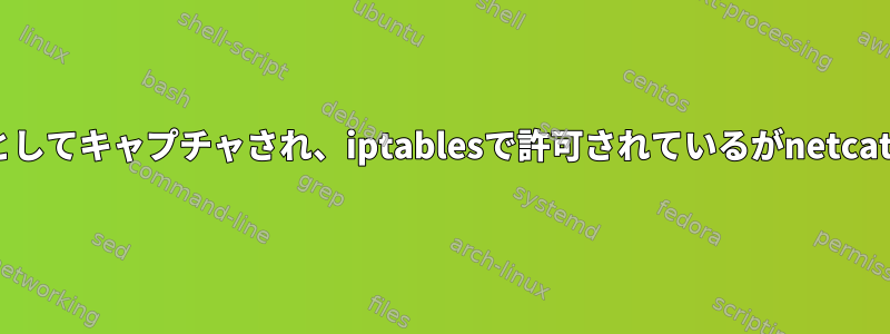 vethで受信され、tcpdumpとしてキャプチャされ、iptablesで許可されているがnetcatに転送されないUDPパケット