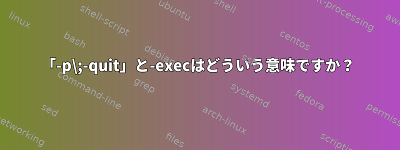 「-p\;-quit」と-execはどういう意味ですか？