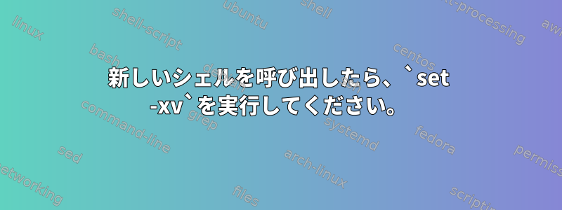 新しいシェルを呼び出したら、`set -xv`を実行してください。