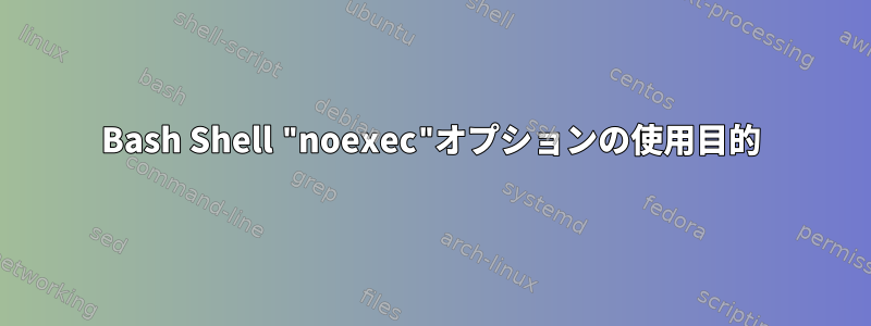 Bash Shell "noexec"オプションの使用目的