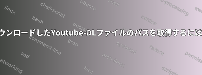 ダウンロードしたYoutube-DLファイルのパスを取得するには？