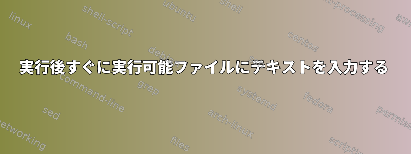 実行後すぐに実行可能ファイルにテキストを入力する