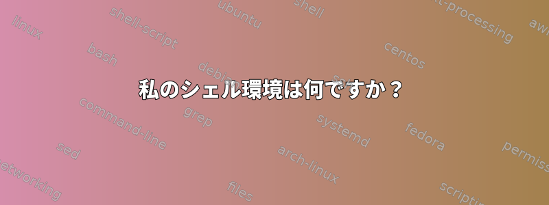 私のシェル環境は何ですか？