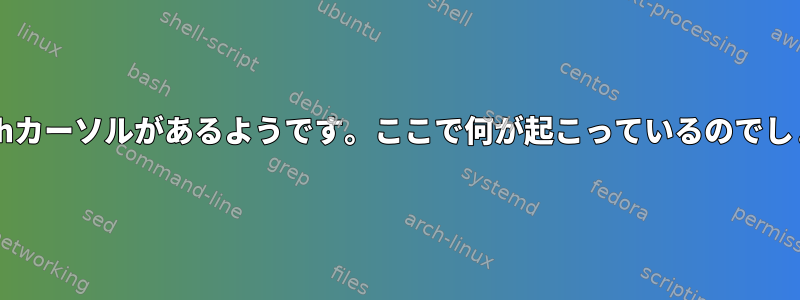 2つのBashカーソルがあるようです。ここで何が起こっているのでしょうか？