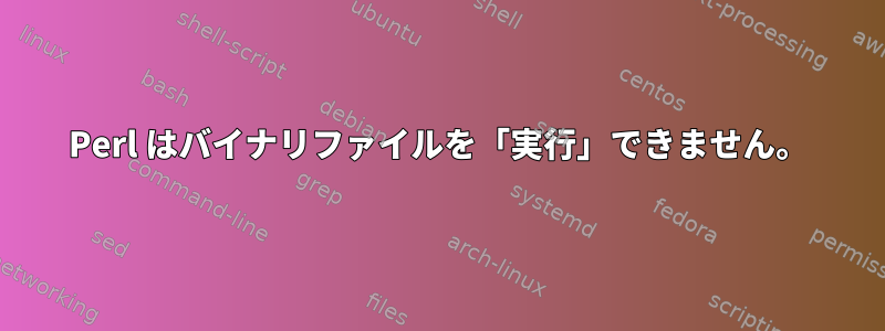 Perl はバイナリファイルを「実行」できません。