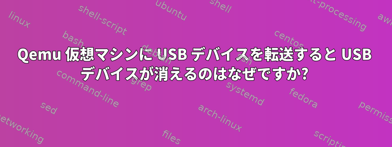 Qemu 仮想マシンに USB デバイスを転送すると USB デバイスが消えるのはなぜですか?