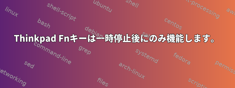 Thinkpad Fnキーは一時停止後にのみ機能します。