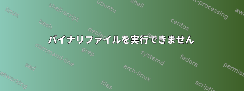 バイナリファイルを実行できません