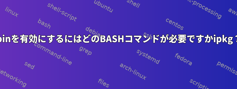 .binを有効にするにはどのBASHコマンドが必要ですかipkg？