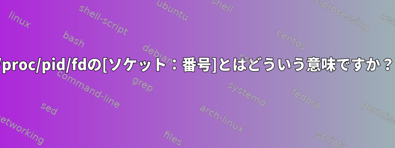 /proc/pid/fdの[ソケット：番号]とはどういう意味ですか？