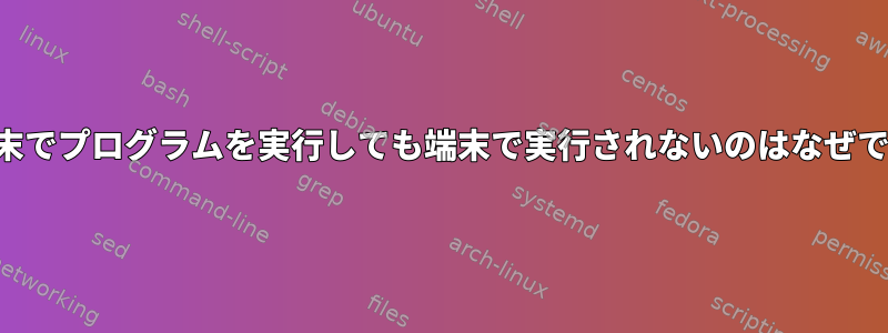 時々端末でプログラムを実行しても端末で実行されないのはなぜですか？