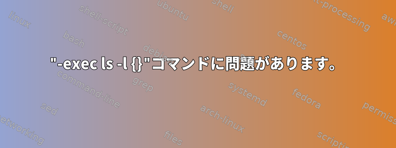 "-exec ls -l {}"コマンドに問題があります。