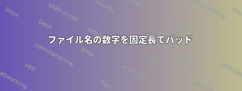 ファイル名の数字を固定長でパッド