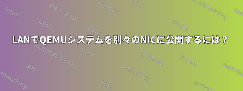 LANでQEMUシステムを別々のNICに公開するには？