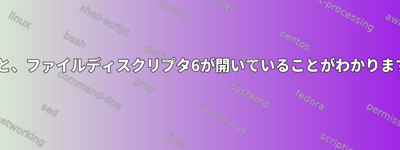 マイコンピュータでプロセスを起動すると、ファイルディスクリプタ6が開いていることがわかります。この記述子の目的/用途は何ですか？