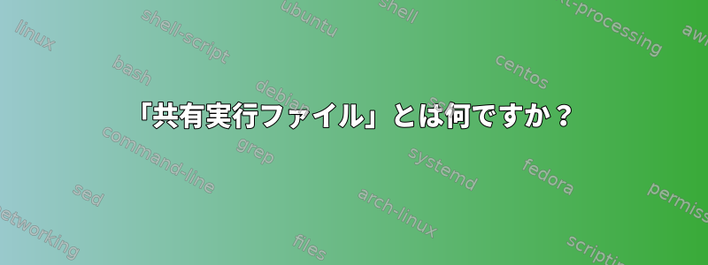 「共有実行ファイル」とは何ですか？