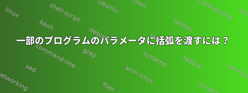 一部のプログラムのパラメータに括弧を渡すには？