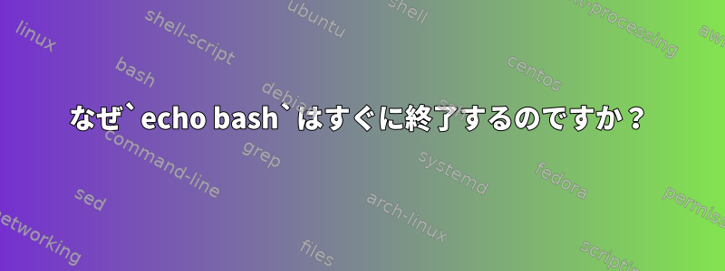 なぜ`echo bash`はすぐに終了するのですか？