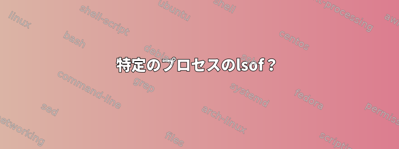 特定のプロセスのlsof？