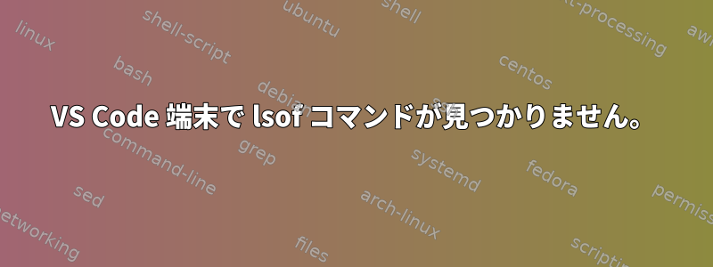 VS Code 端末で lsof コマンドが見つかりません。