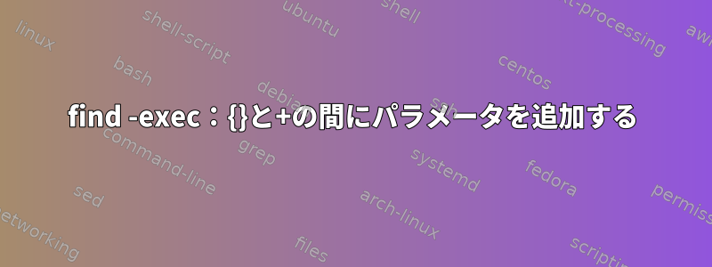 find -exec：{}と+の間にパラメータを追加する