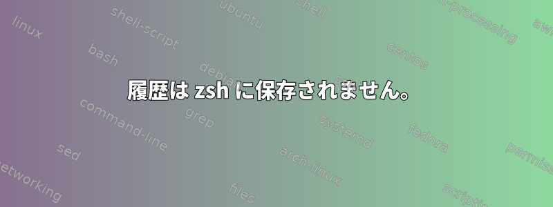 履歴は zsh に保存されません。