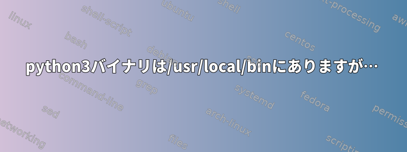 python3バイナリは/usr/local/binにありますが…