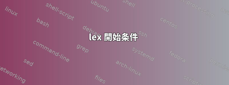 lex 開始条件