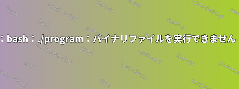 エラーを受け取る：bash：./program：バイナリファイルを実行できません：Exec形式エラー