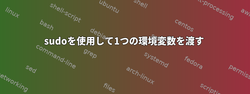 sudoを使用して1つの環境変数を渡す