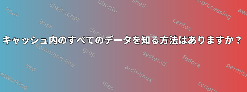 キャッシュ内のすべてのデータを知る方法はありますか？