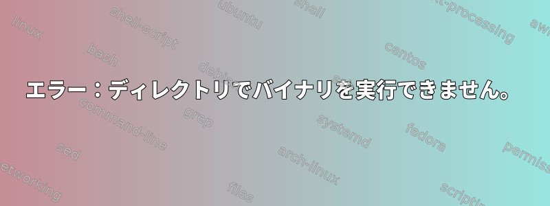 エラー：ディレクトリでバイナリを実行できません。