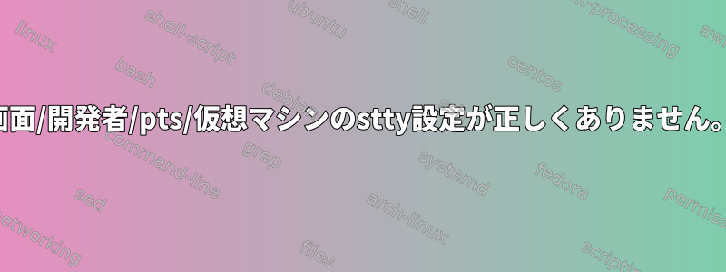 画面/開発者/pts/仮想マシンのstty設定が正しくありません。