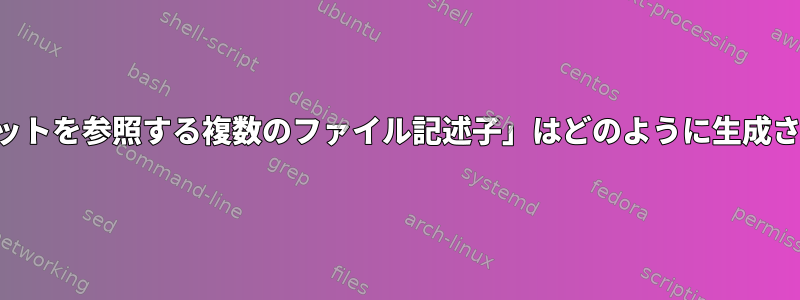 「同じソケットを参照する複数のファイル記述子」はどのように生成されますか？