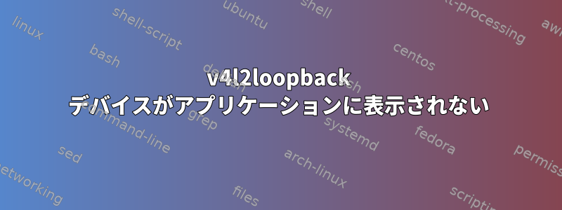 v4l2loopback デバイスがアプリケーションに表示されない