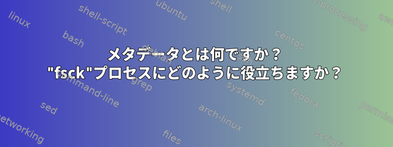 メタデータとは何ですか？ "fsck"プロセスにどのように役立ちますか？