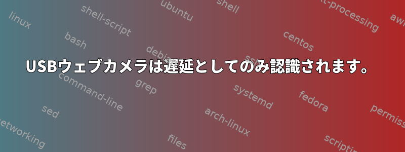 USBウェブカメラは遅延としてのみ認識されます。