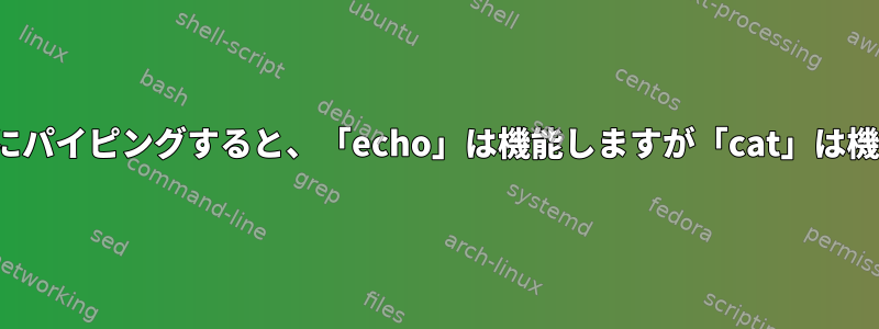 「openssl」にパイピングすると、「echo」は機能しますが「cat」は機能しない理由