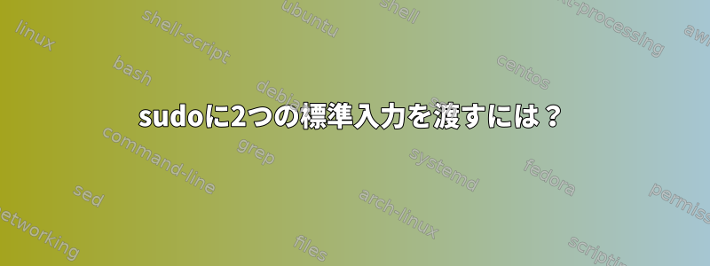 sudoに2つの標準入力を渡すには？