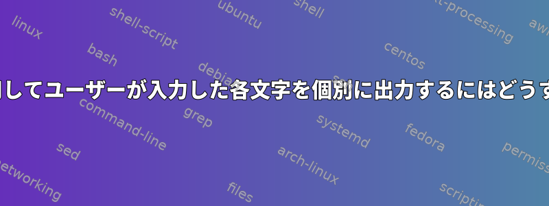 whileループを使用してユーザーが入力した各文字を個別に出力するにはどうすればよいですか？