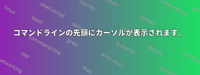 コマンドラインの先頭にカーソルが表示されます。