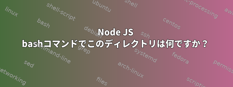 Node JS bashコマンドでこのディレクトリは何ですか？