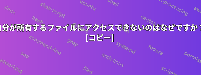 自分が所有するファイルにアクセスできないのはなぜですか？ [コピー]