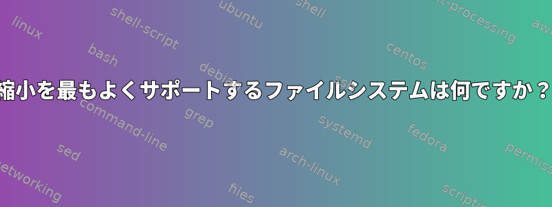 縮小を最もよくサポートするファイルシステムは何ですか？