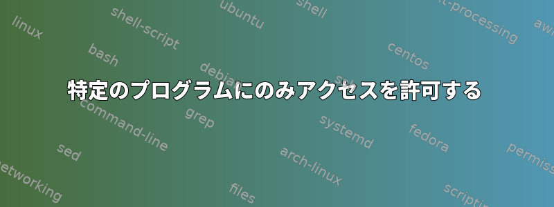 特定のプログラムにのみアクセスを許可する