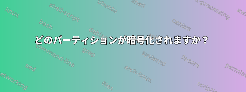 どのパーティションが暗号化されますか？