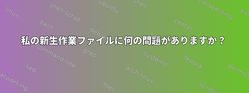 私の新生作業ファイルに何の問題がありますか？