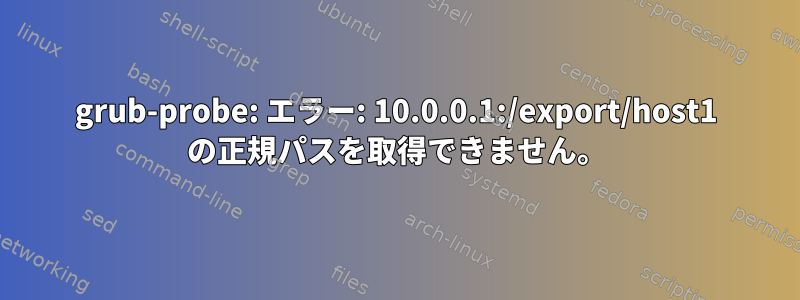 grub-probe: エラー: 10.0.0.1:/export/host1 の正規パスを取得できません。